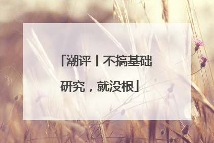 潮评丨不搞基础研究，就没根